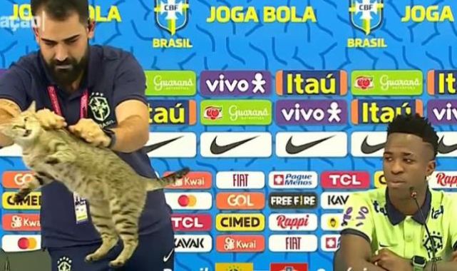 Kıyameti kopartan görüntü! Brezilyalı yıldızın toplantısına giren kedi masadan böyle atıldı
