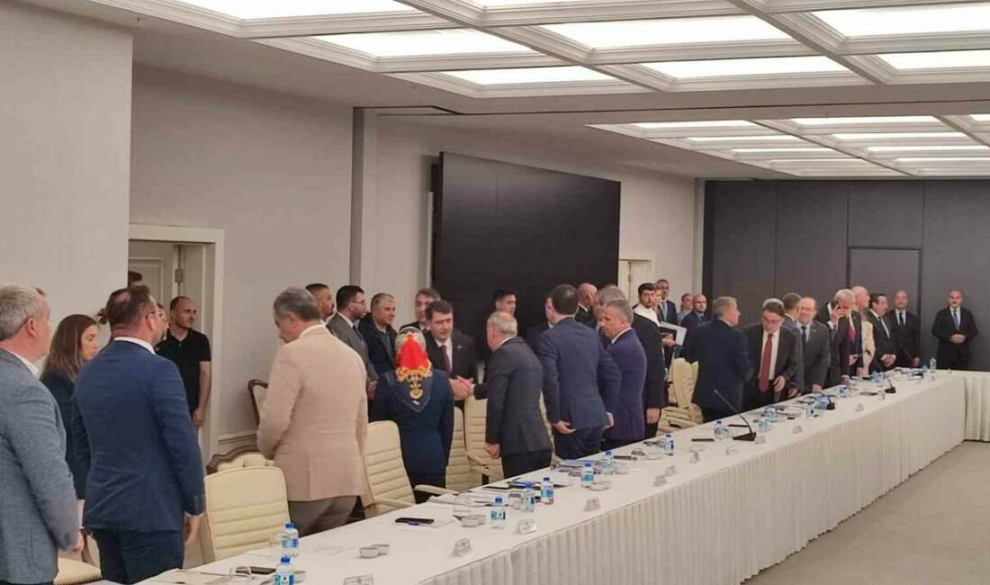 Ankara Valisi Vasip Şahin, İl Hayvan Hakları Komisyonu toplantısında yaptığı