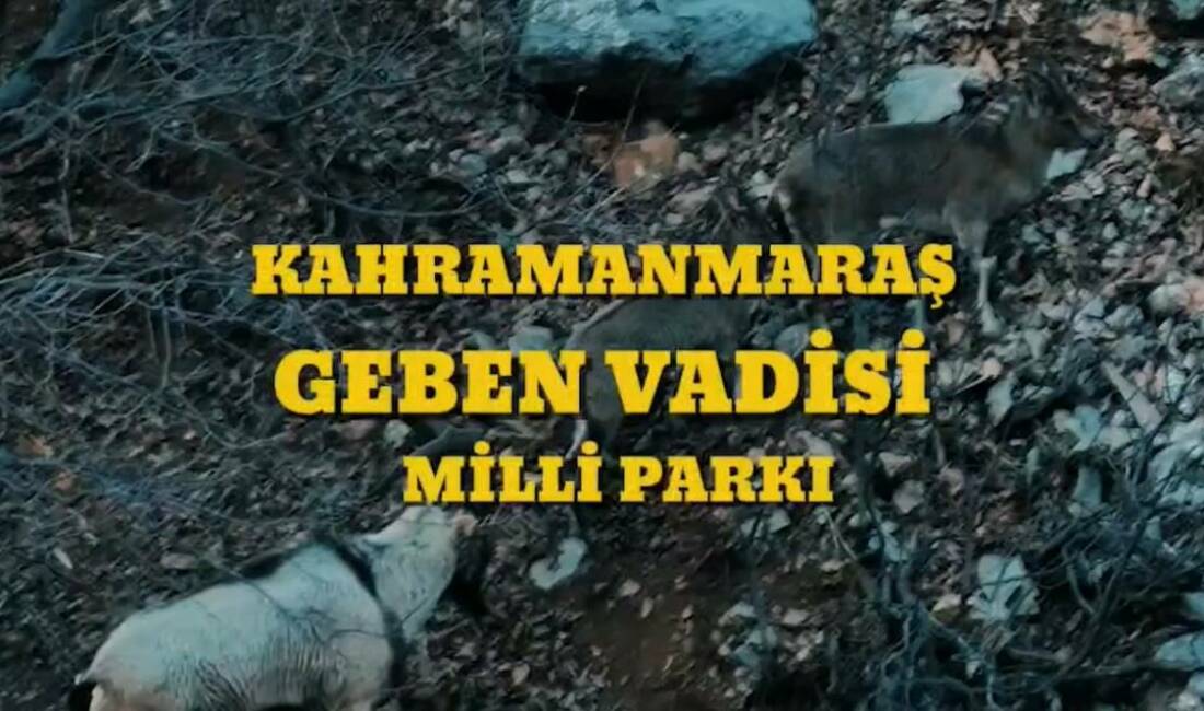 Tarım ve Orman Bakanı İbrahim Yumaklı, “Cumhurbaşkanımız Recep Tayyip Erdoğan’ın