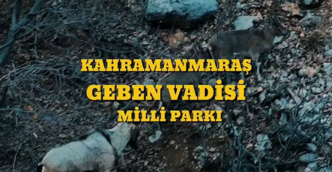 Tarım ve Orman Bakanı İbrahim Yumaklı, “Cumhurbaşkanımız Recep Tayyip Erdoğan’ın