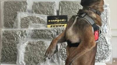 BALIKESİR (AA) – Balıkesir’de bir yolcu otobüsündeki valizde 10 kilo