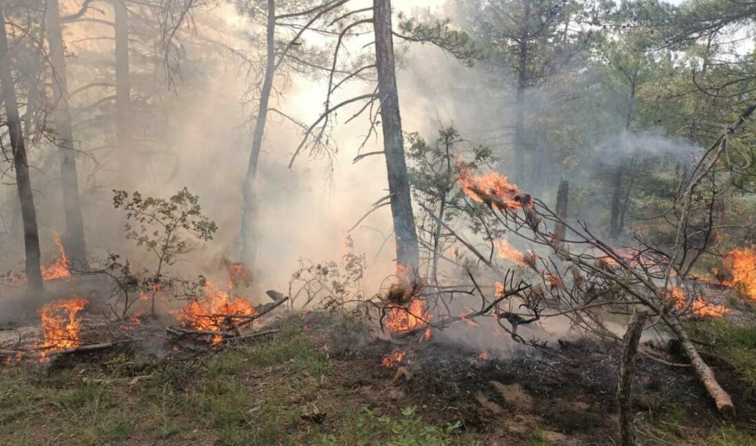 Bolu’nun Göynük ilçesinde ormanlık alanda yıldırım düşmesi sonucu çıkan yangın,