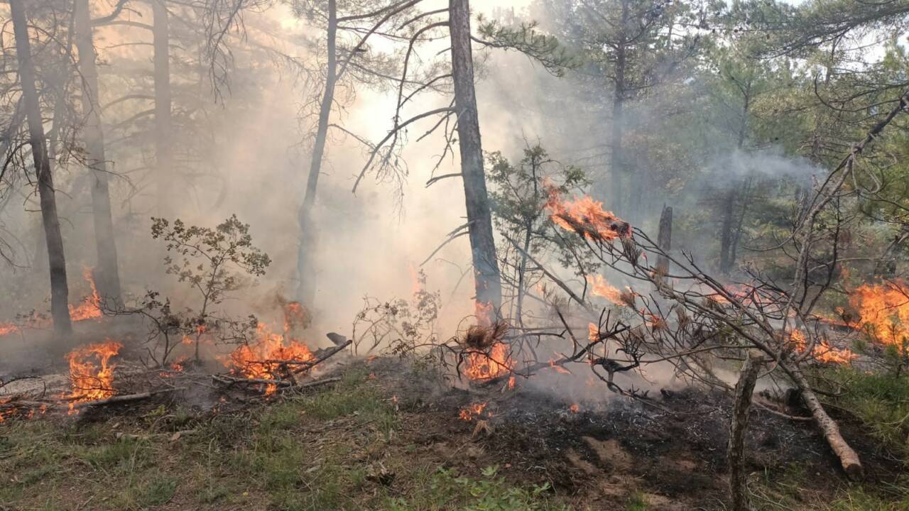 Bolu’nun Göynük ilçesinde ormanlık alanda yıldırım düşmesi sonucu çıkan yangın,