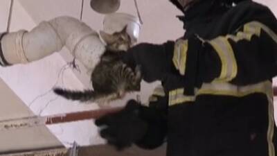 Hatay’ın Reyhanlı ilçesinde boru içinde mahsur kalan yavru kediyi, itfaiye