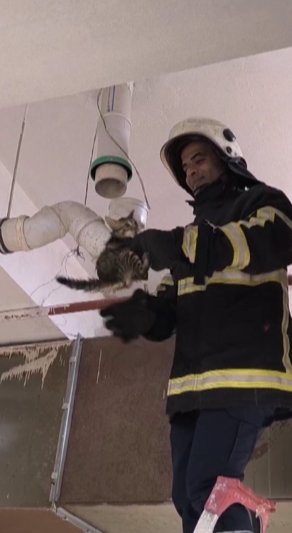 Hatay’ın Reyhanlı ilçesinde boru içinde mahsur kalan yavru kediyi, itfaiye