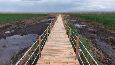Kayseri Büyükşehir Belediye Başkanı Dr. Memduh Büyükkılıç, Sultan Sazlığı’nda sürdürülen