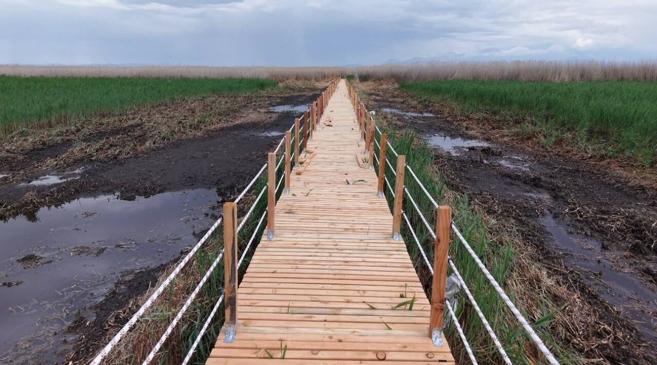 Kayseri Büyükşehir Belediye Başkanı Dr. Memduh Büyükkılıç, Sultan Sazlığı’nda sürdürülen