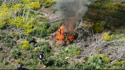 Diyarbakır’da, Dicle Nehri’nin Bismil ilçesindeki kısmında adacık olan yerlerde tespit