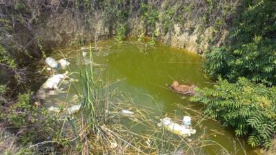 EDİRNE (AA) – Edirne’nin Keşan ilçesinde su dolu çukurda başı