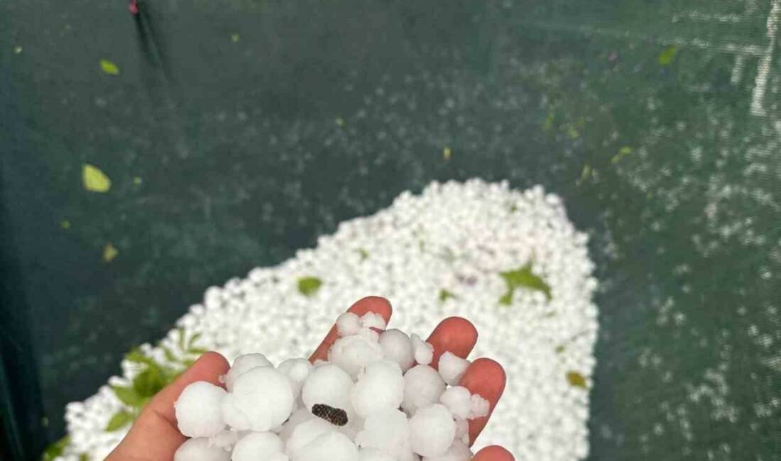 Elazığ’ın yüksek kesimlerimde dolu yağışı etkili oldu. Elazığ’da akşam üzerin