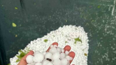 Elazığ’ın yüksek kesimlerimde dolu yağışı etkili oldu. Elazığ’da akşam üzerin