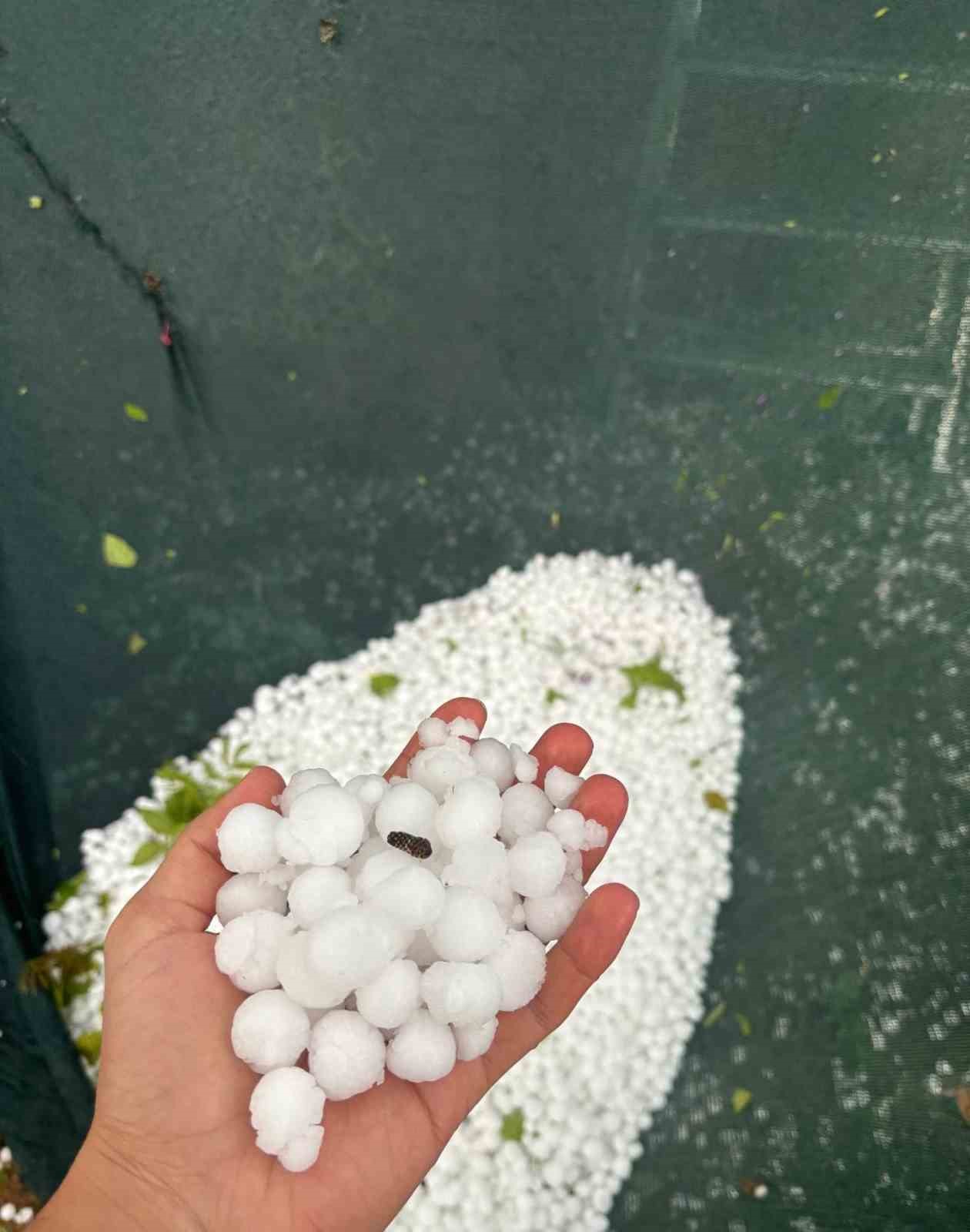 Elazığ’ın yüksek kesimlerimde dolu yağışı etkili oldu. Elazığ’da akşam üzerin