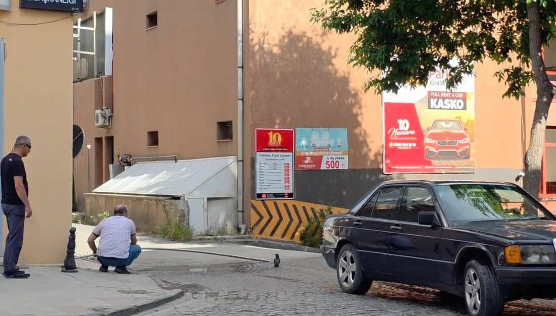 Erzincan’da aracın altında kalmak üzere olan yavru karga, duyarlı vatandaşların