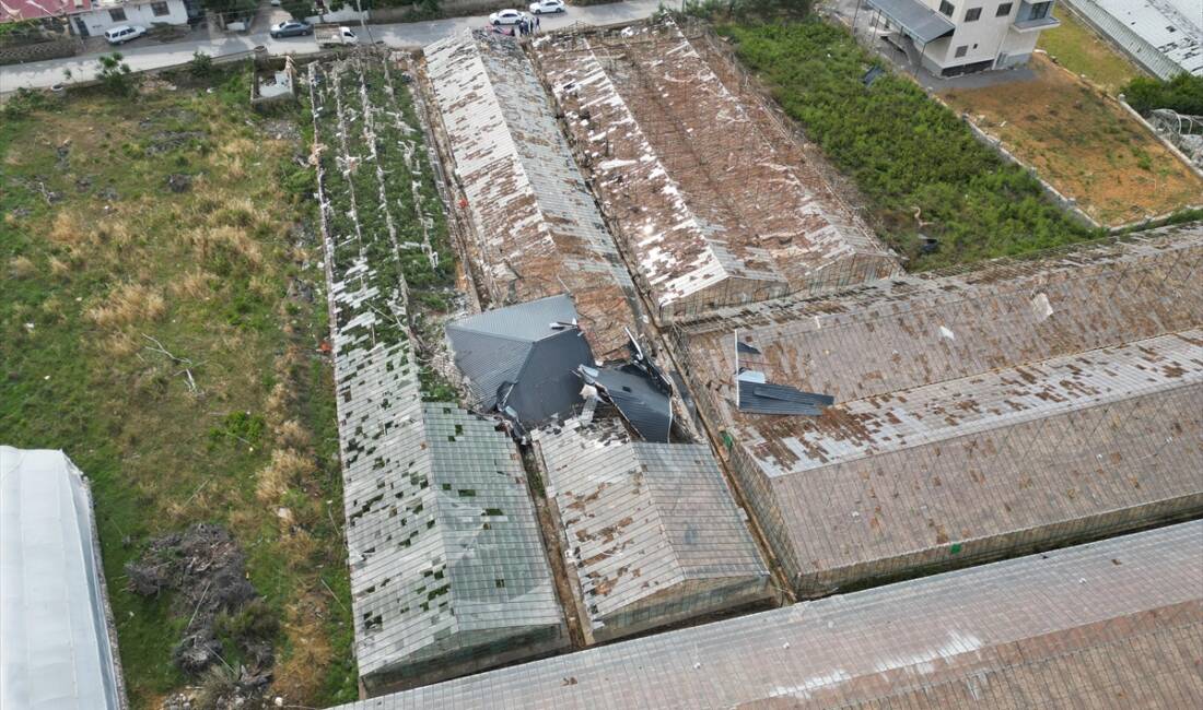 ANTALYA (AA) – Antalya’nın Gazipaşa ilçesinde hortumun zarar verdiği seralarda