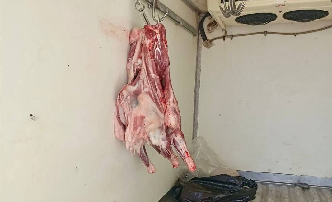 HATAY (AA) – Hatay’ın merkez Antakya ilçesinde uygun koşullar sağlanmadan