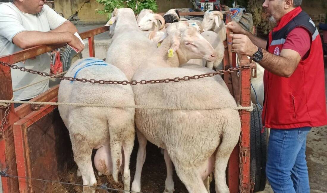 Sarıgöl İlçe Tarım ve Orman Müdürlüğü’ne bağlı Hayvan Sağlığı Birimi