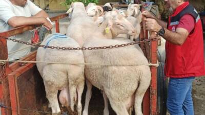 Sarıgöl İlçe Tarım ve Orman Müdürlüğü’ne bağlı Hayvan Sağlığı Birimi