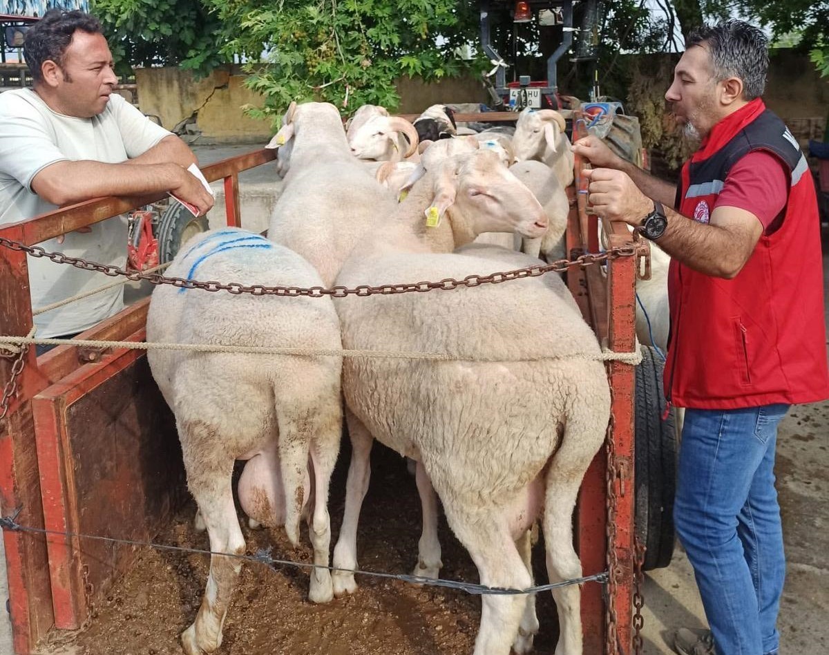 Sarıgöl İlçe Tarım ve Orman Müdürlüğü’ne bağlı Hayvan Sağlığı Birimi