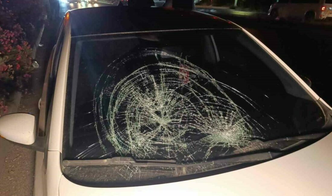 Antalya’nın Manavgat ilçesi D-400 karayolunda karşıdan karşıya geçmeye çalışan kadına