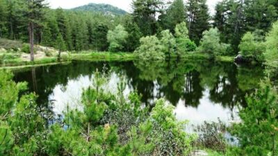 Kütahya’nın Hisarcık ilçesi bulunan doğal gölet baharın gelmesiyle eşsiz bir