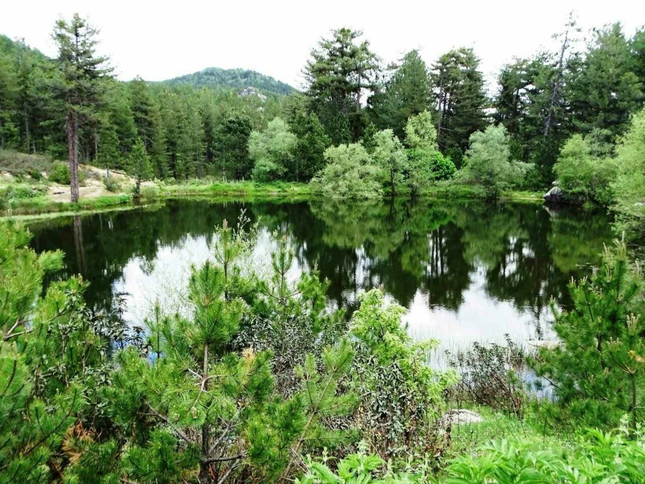 Kütahya’nın Hisarcık ilçesi bulunan doğal gölet baharın gelmesiyle eşsiz bir