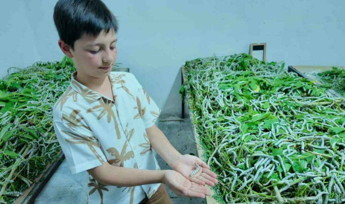 Eskişehir’in Sarıcakaya ilçesi ekonomisine büyük katkı sağlayan Sarıcakaya Koza Tarım