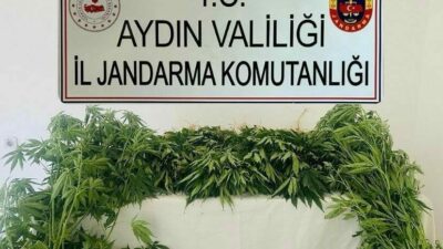 Aydın İl Jandarma Komutanlığı KOM Şube Müdürlüğü koordinesinde Aydın il