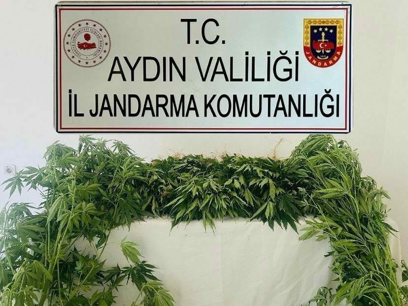 Aydın İl Jandarma Komutanlığı KOM Şube Müdürlüğü koordinesinde Aydın il