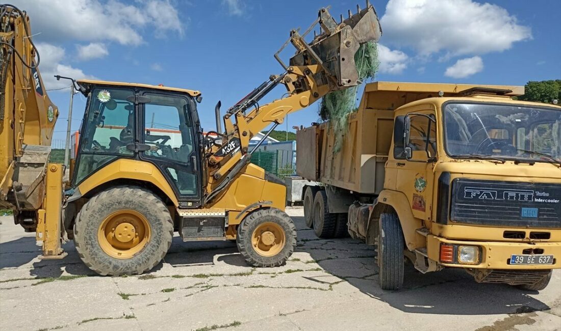 - Ağlara takılan 380 canlı  denize bırakıldı