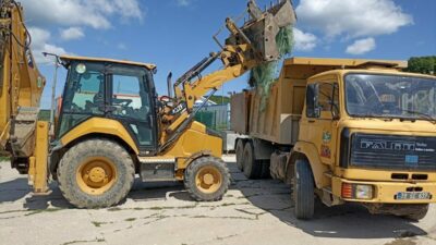 - Ağlara takılan 380 canlı  denize bırakıldı