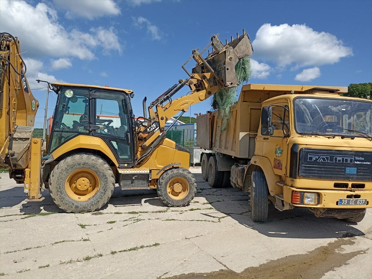 - Ağlara takılan 380 canlı  denize bırakıldı