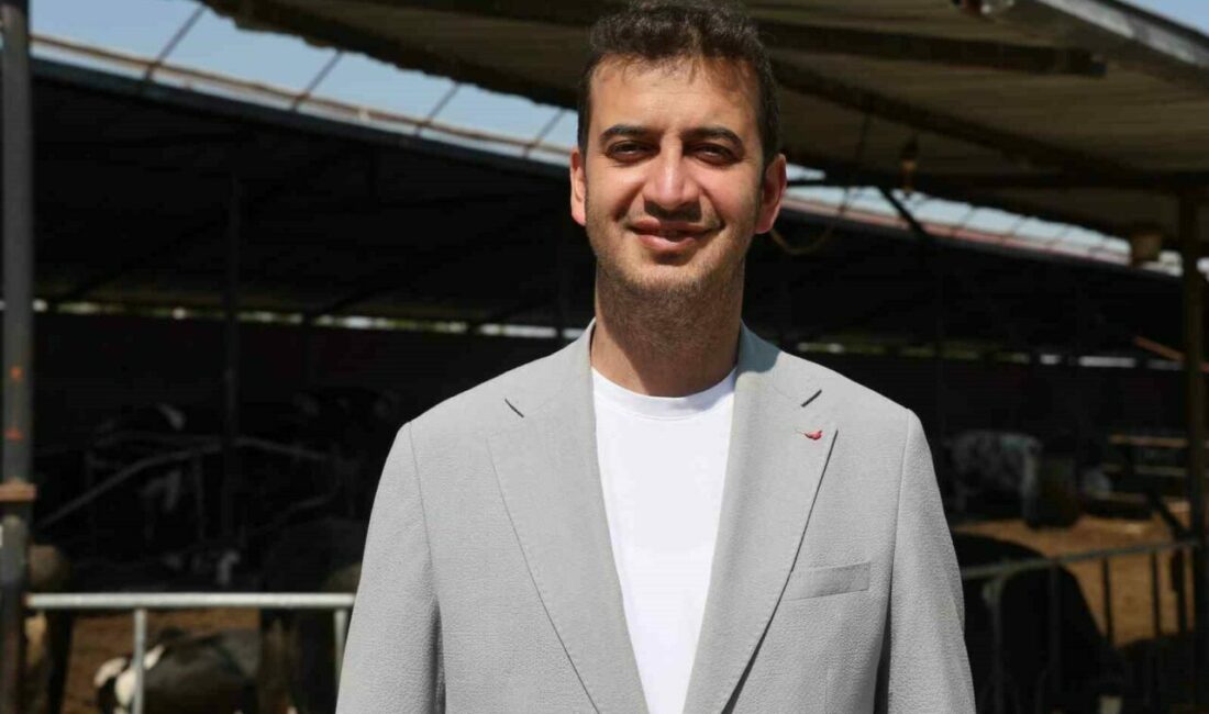 Kurban Bayramı’na sayılı günler kala uzmanlar, kurbanlık hayvan seçerken yapılacak