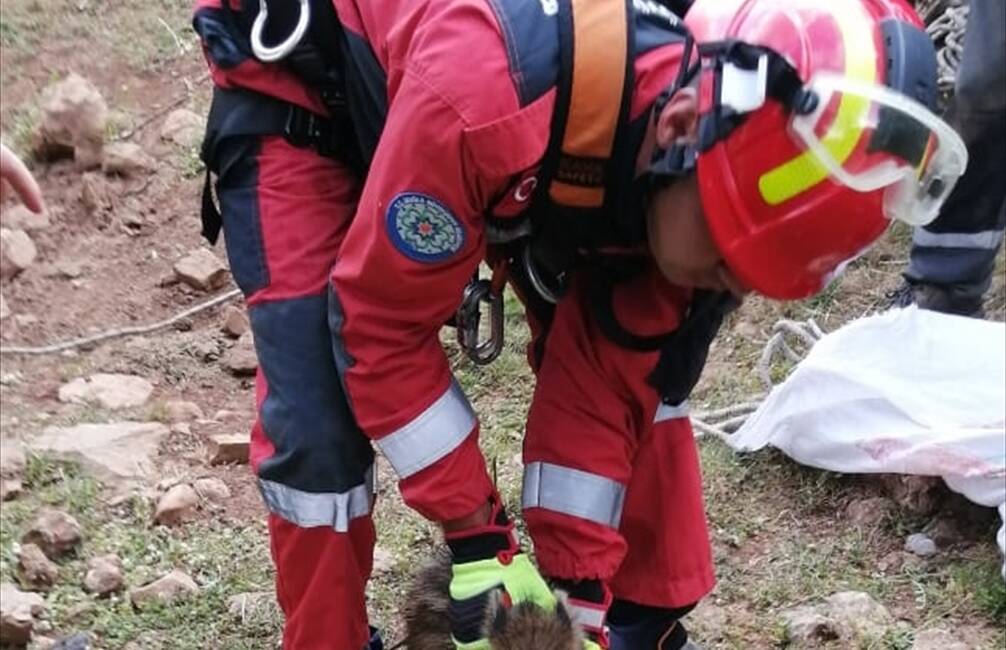 MUĞLA (AA) – Muğla’da sulama kanalına düşen köpek ve kuyuya