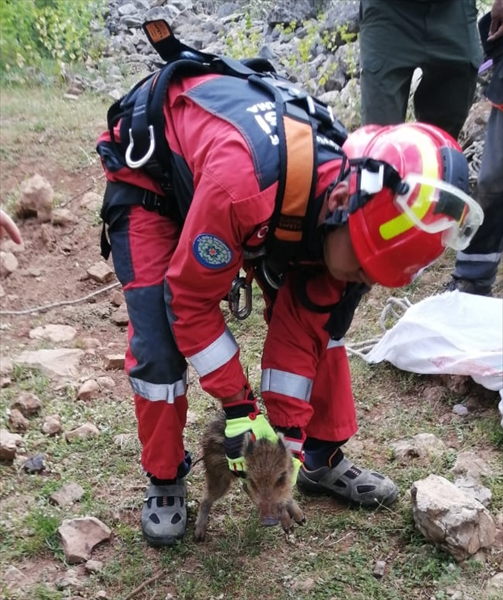 MUĞLA (AA) – Muğla’da sulama kanalına düşen köpek ve kuyuya