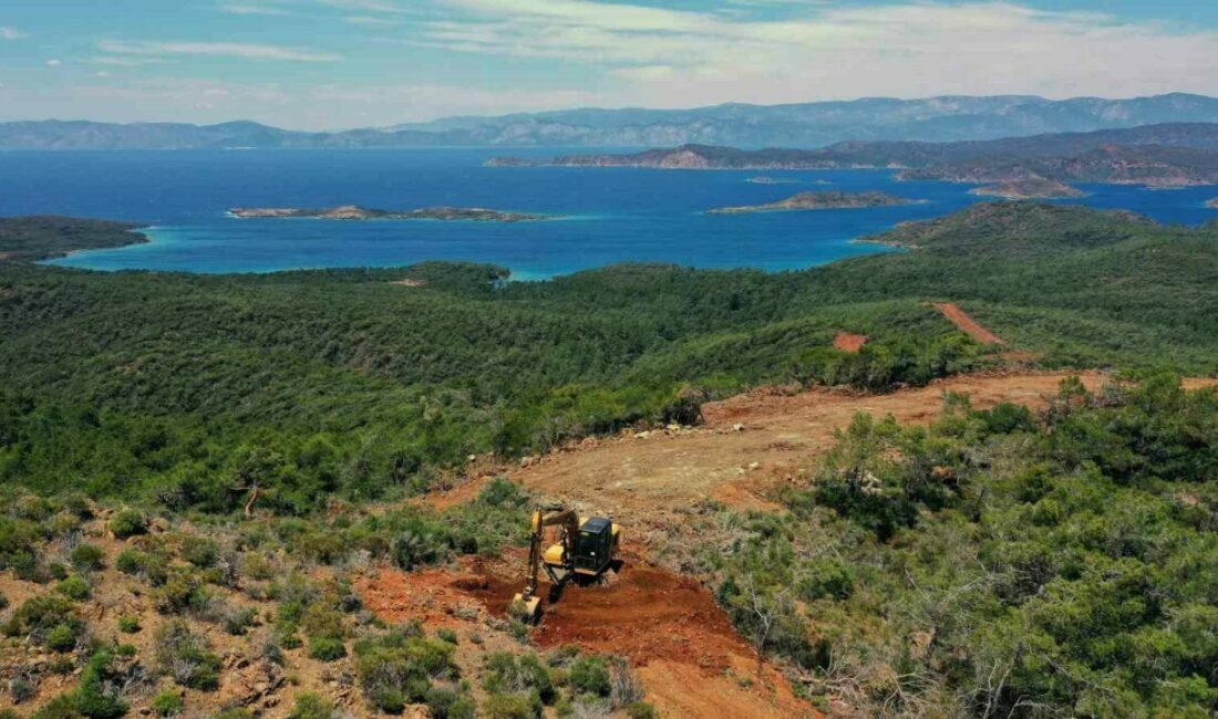 Türkiye’de orman yangınlarına en hassas iller arasında yer alan Muğla’da