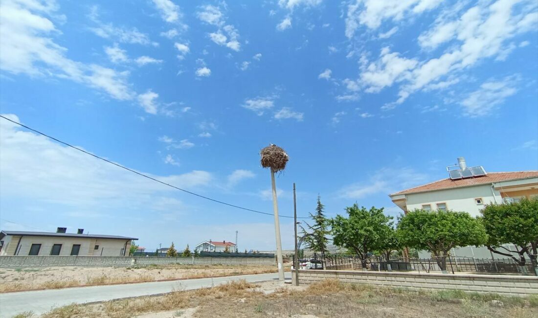 NEVŞEHİR (AA) – Nevşehir’in Gülşehir ilçesinde elektrik direği yenileme çalışmaları