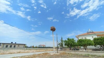 NEVŞEHİR (AA) – Nevşehir’in Gülşehir ilçesinde elektrik direği yenileme çalışmaları