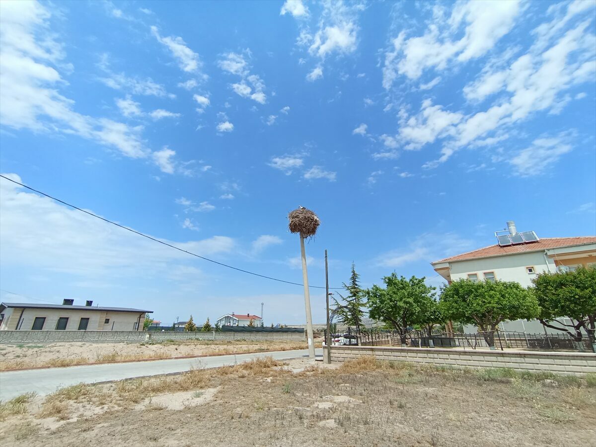 NEVŞEHİR (AA) – Nevşehir’in Gülşehir ilçesinde elektrik direği yenileme çalışmaları