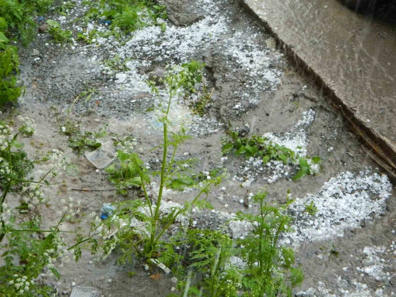 Ardahan’ın Posof ilçesinde şiddetli dolu yağışı sele sebep oldu. Ceviz