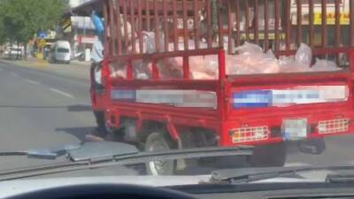 Kurban Bayramı öncesi Şanlıurfa’nın Siverek ilçesinde kavurucu sıcak altında açık