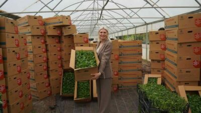 Bilecik Belediyesi, yerel üreticilere destek amacıyla sürdürdüğü fide dağıtımını bu