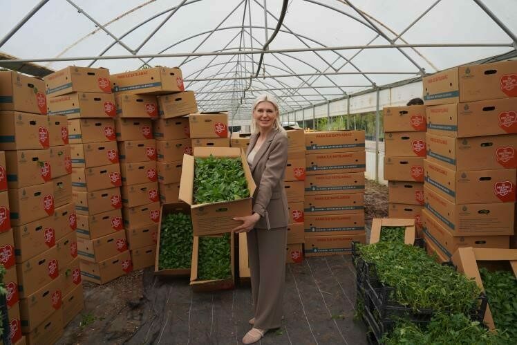 Bilecik Belediyesi, yerel üreticilere destek amacıyla sürdürdüğü fide dağıtımını bu