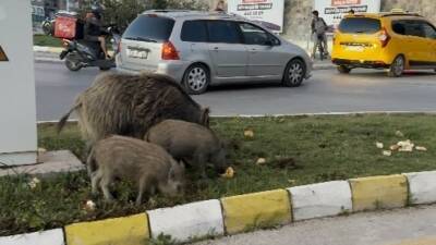 Kuşadası Kaymakamlığı tarafından yayımlanan yasak kararının ardından yürütülen denetimlerde, yaban