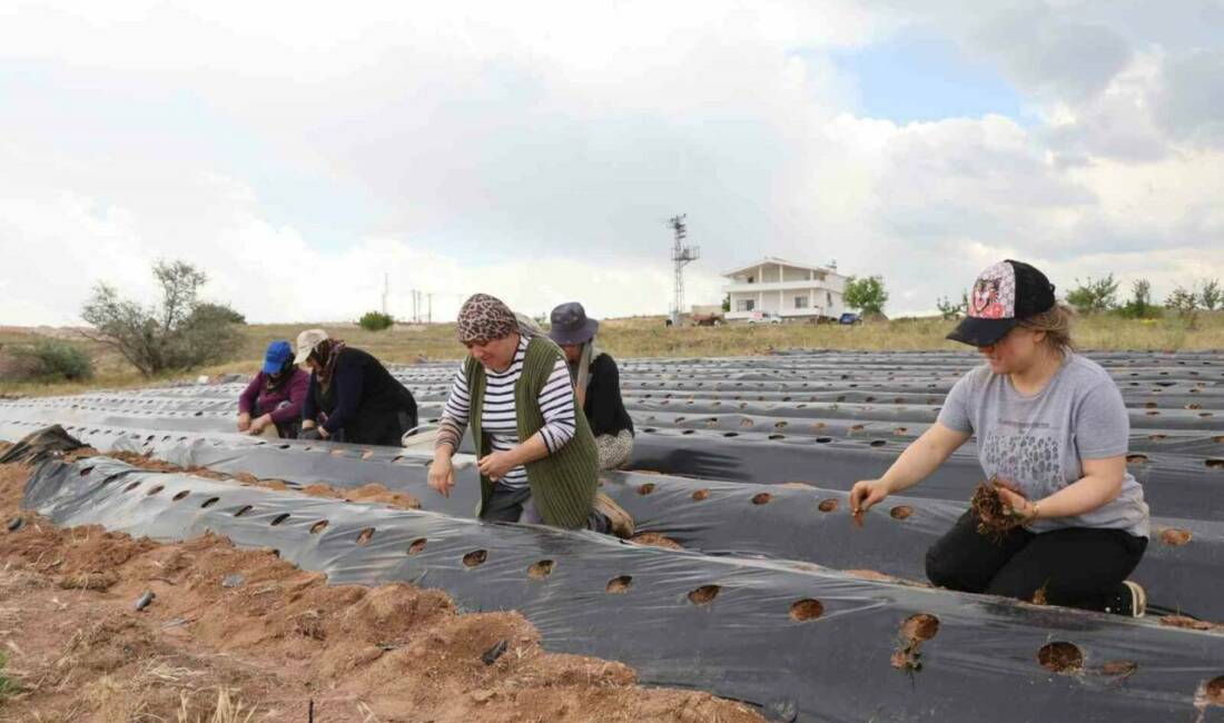 Nevşehir’de yaşayan Nuray Görgün, kızına bir gelecek kurma hayaliyle başladığı
