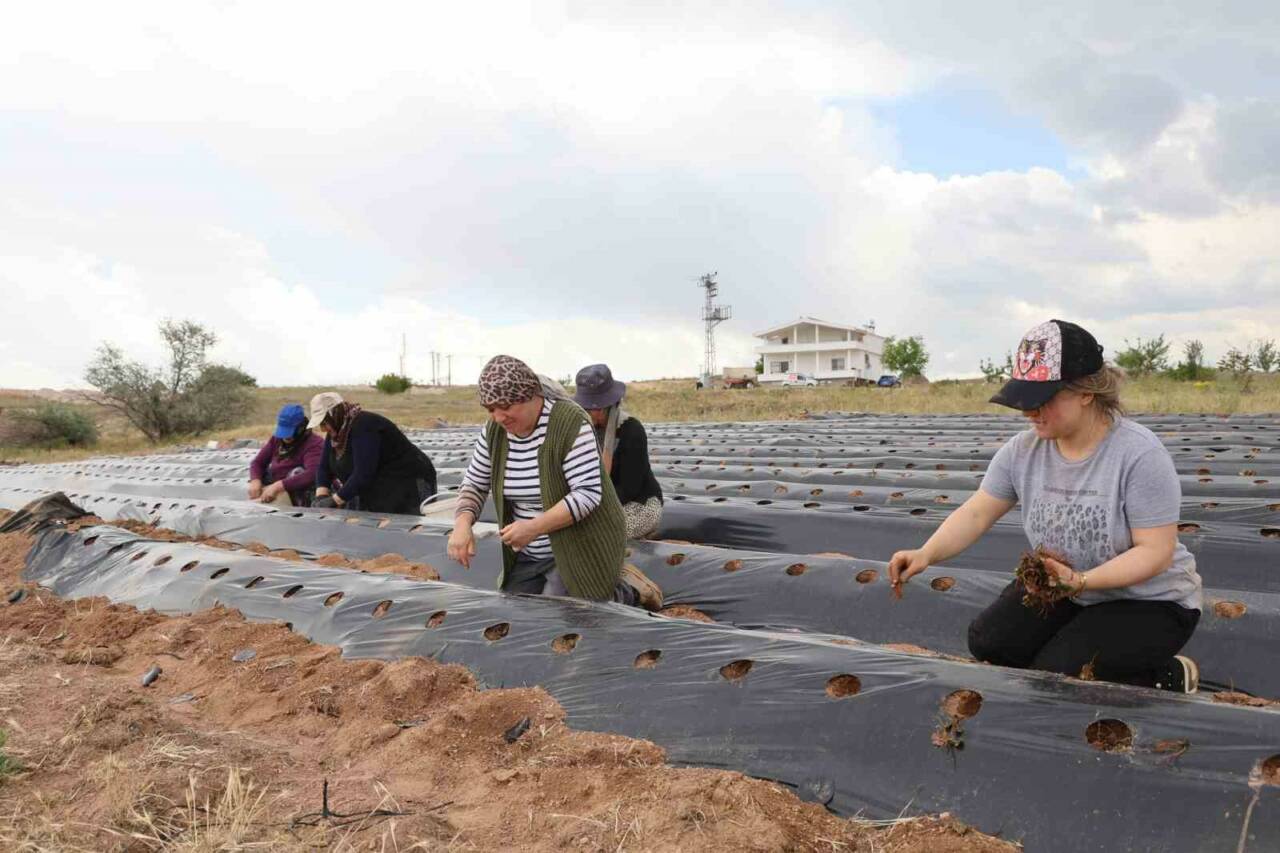 Nevşehir’de yaşayan Nuray Görgün, kızına bir gelecek kurma hayaliyle başladığı