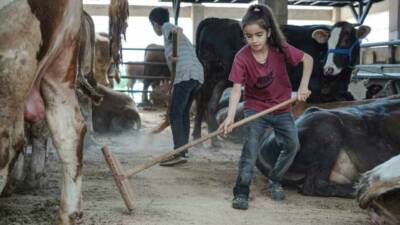 Kurban Bayramı’na sayılı günler kala hayvan pazarları hareketlendi. Muş’tan Bursa