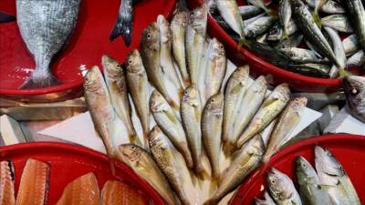 Trabzon'da balıkçı tezgahlarında yaşanan bolluk esnafın yüzünü güldürdü.