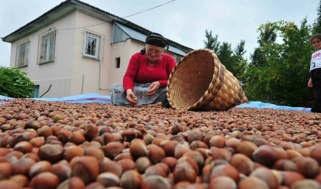 DÜZCE (İHA) – Düzce’den yılın ilk 5 ayında Avrupa Birliği