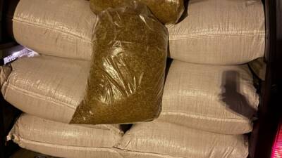 ADANA (AA) – Adana’da 1 ton 250 kilogram kaçak tütün