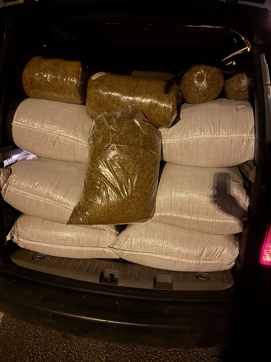 ADANA (AA) – Adana’da 1 ton 250 kilogram kaçak tütün